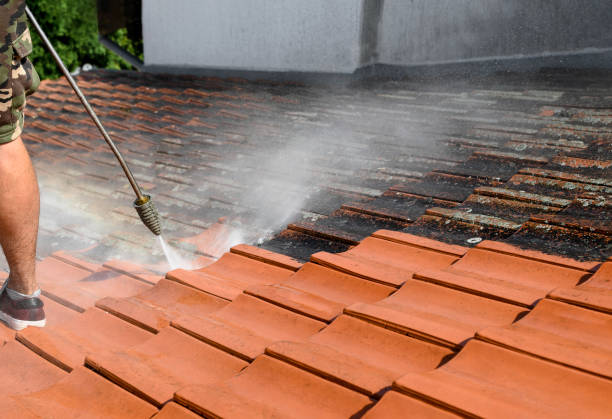 Best Roof Pressure Washing  in Franklin, KY